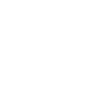 Social Traders