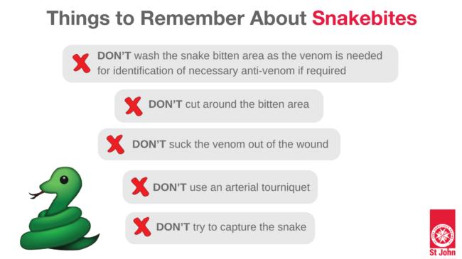 snake bite first aid