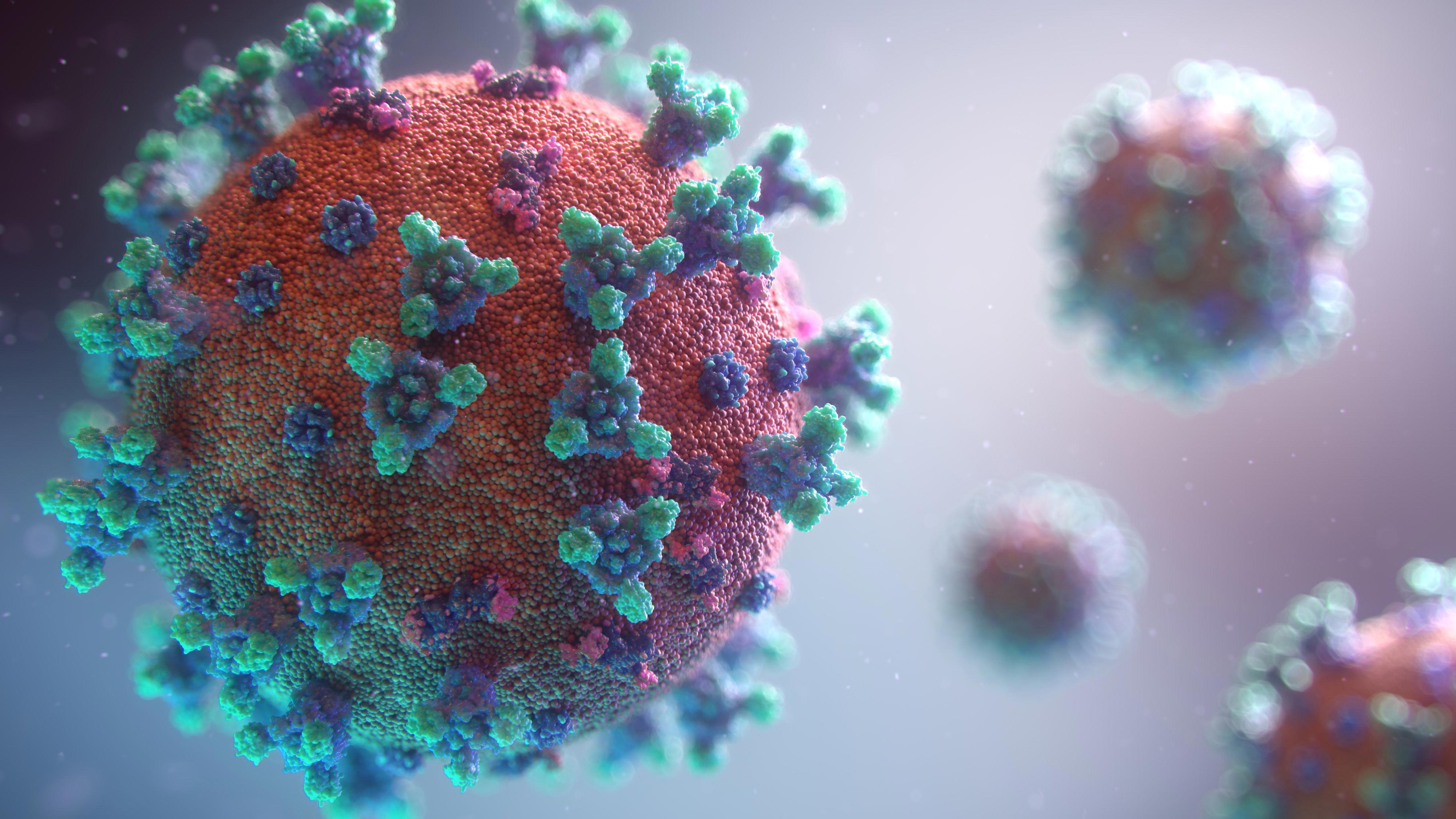 Digital illustration graphic of coronavirus