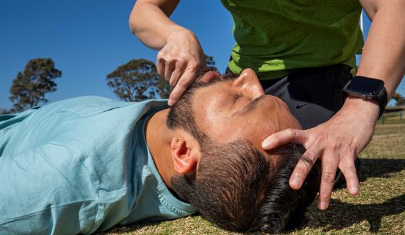 Biting First Aid How To Provide First Aid For Bites And Stings | St John Vic