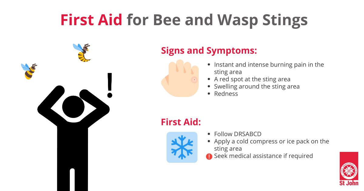 How To Provide First Aid For Bites And Stings St John Vic