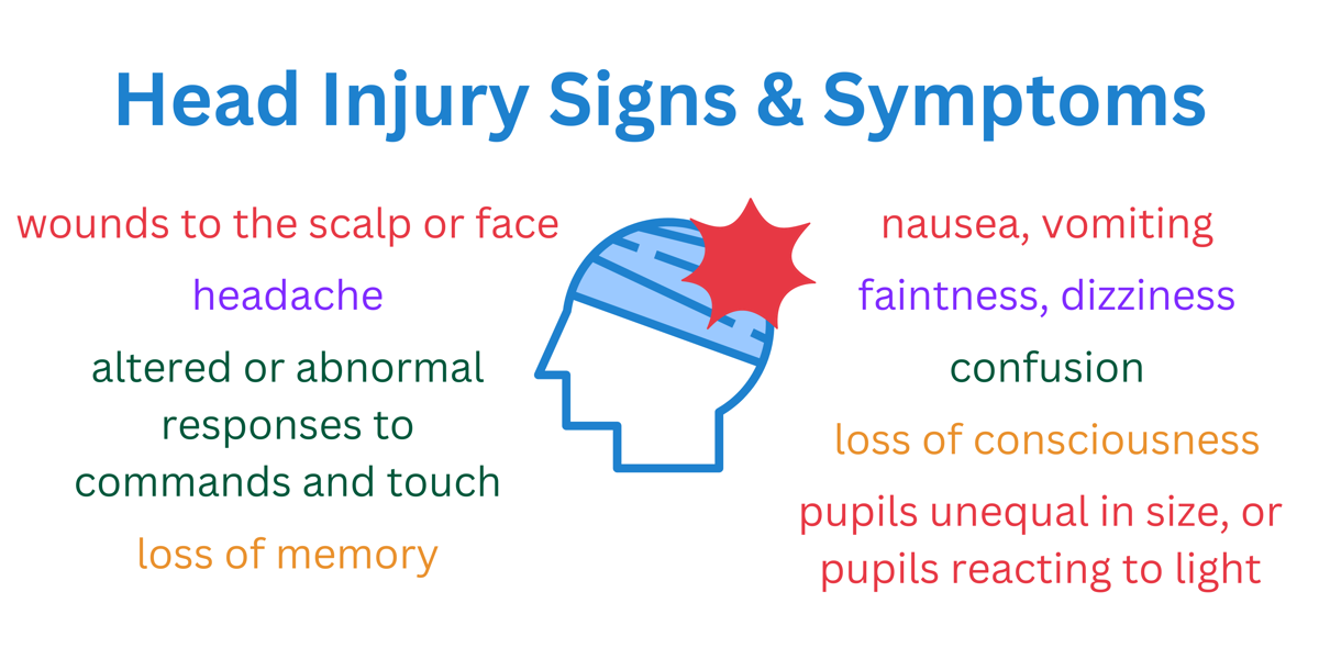 Lifesaving Tips for Head Injury First Aid Treatment St John Vic